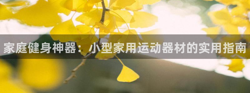九游体育官网下载平台是正规平台吗：家庭健身神器：小型