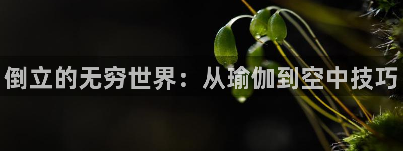 九游体育官网下载注册：倒立的无穷世界：从瑜伽到空中技