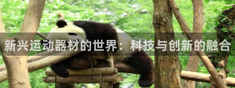 九游体育官方正版app娱乐首页网站大全：新兴运动器材