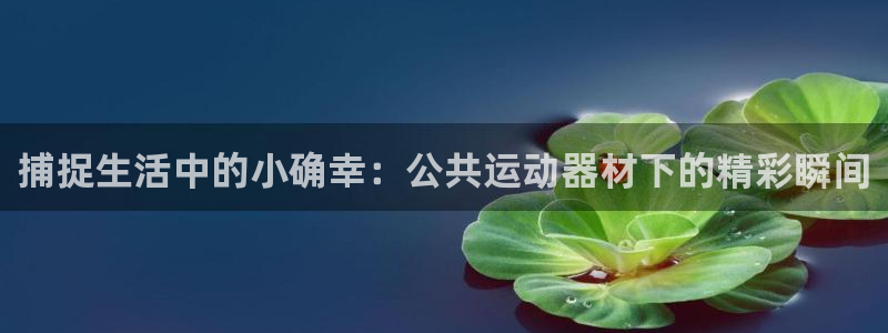九游体育官网下载平台：捕捉生活中的小确幸：公共运动器