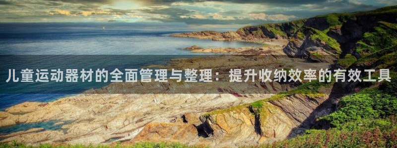 九游体育官网下载平台是正规平台吗安全吗：儿童运动器材
