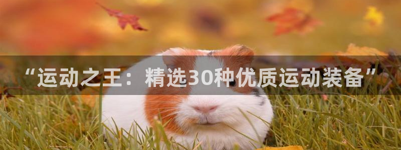 九游体育官方正版app集团官网首页网址：“运动之王：