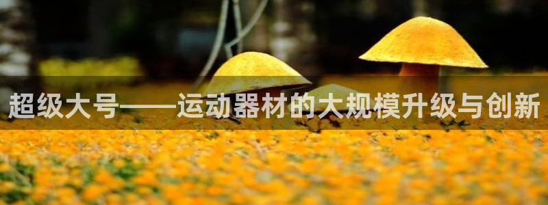 九游体育官方正版app代理：超级大号——运动器材的大