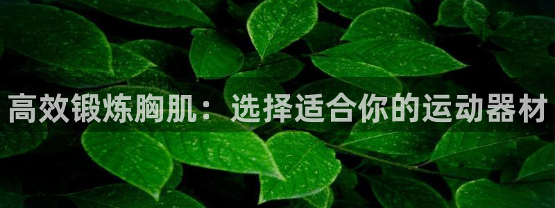 九游体育官网下载平台：高效锻炼胸肌：选择适合你的运动器材