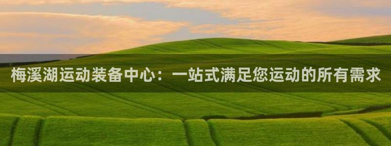 九游体育官方正版app集团：梅溪湖运动装备中心：一站式满足您