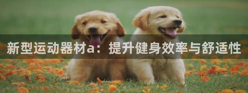 海南九游体育官网下载发展怎么样：新型运动器材a：提升健身效率