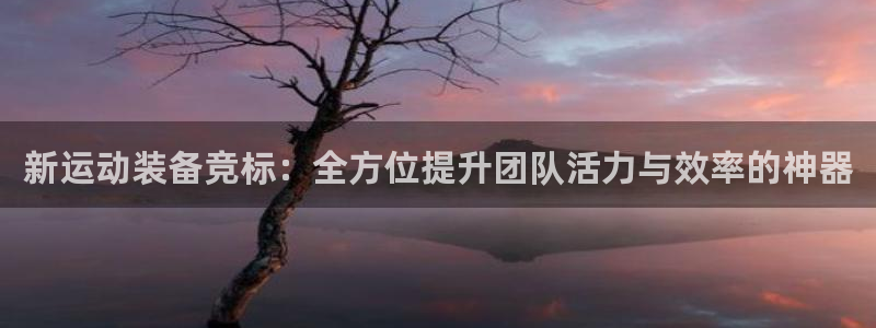 九游体育官网下载注册：新运动装备竞标：全方位提升团队活力与效