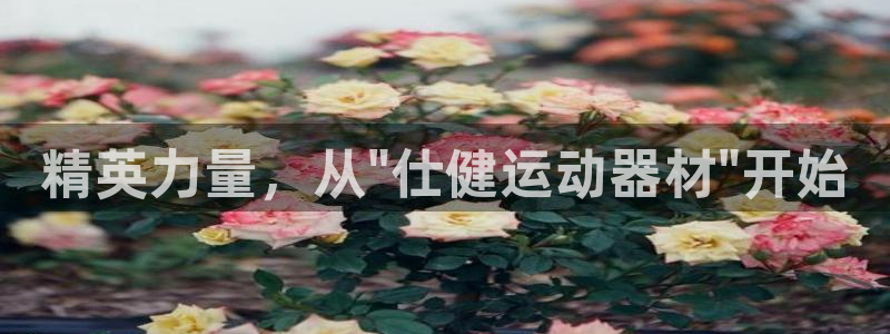 九游体育官方正版app集团E.ON：精英力量，从\