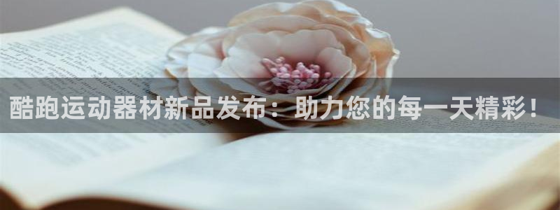 九游体育官方正版app集团logo