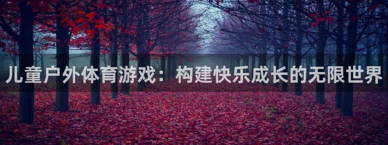 九游官方平台体育