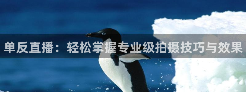 直播吧nba直播吧在线直播免费观看：单反直播：轻松掌握专业级拍摄技巧与效果