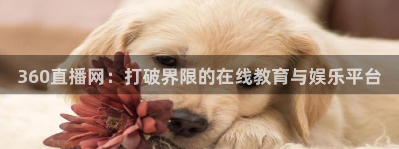 足球在线直播直播吧：360直播网：打破界限的在线教育与娱乐平台